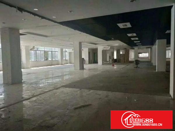 惠州秋长22000平独院钢结构厂房，超大空地