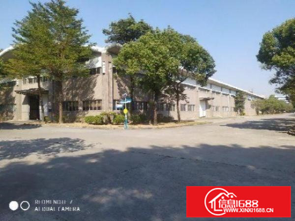 寮步单一层钢构厂房出租工业用地可办环评