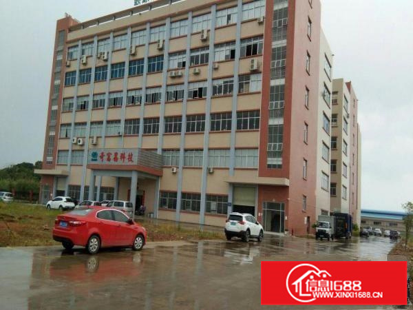 镇隆高田工业园标准厂房一，二楼3200平方招租