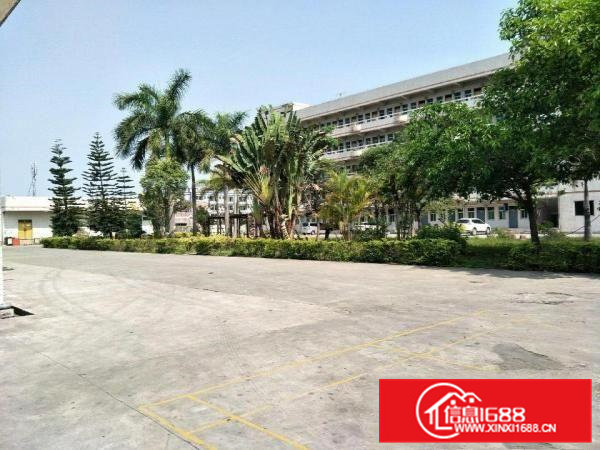 清溪清凤路单一层厂房20000平米