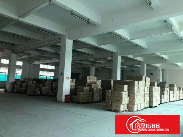 ~塘厦蛟乙塘6000平米独院厂房，地坪漆装修，挨沙湖/高速~