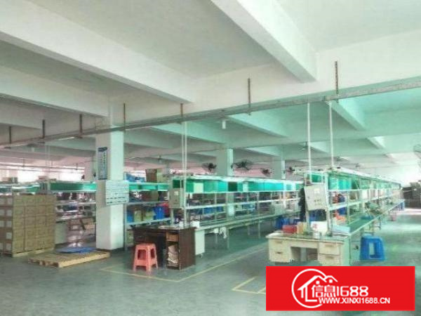 丹灶石联南丰村1楼出租1500平厂房原房东无公摊