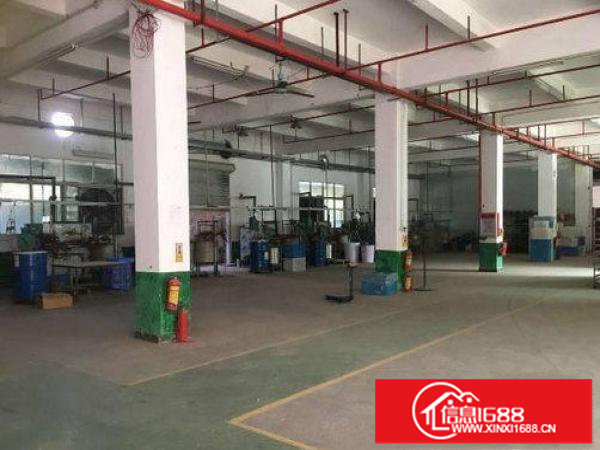 有装修.有装修.有装修.坪山三洋湖一楼300平厂房