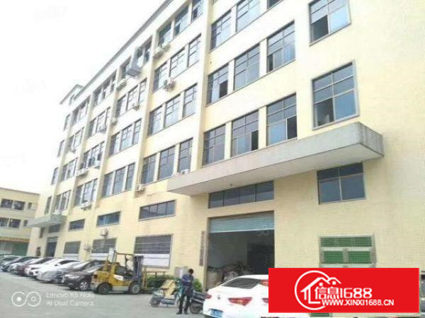 原房东（超低价）清溪镇新空出精装修楼上800平厂房出租