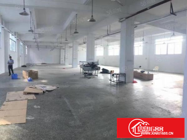 布吉厂房一楼260平方450平方750平方1000平方招租