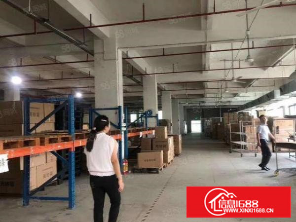 塘厦大坪厂房一楼2000平方出租