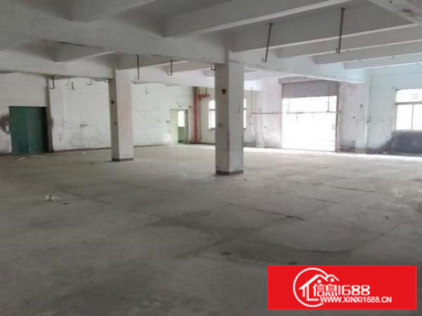 塘家村标准厂房，二楼，可分租