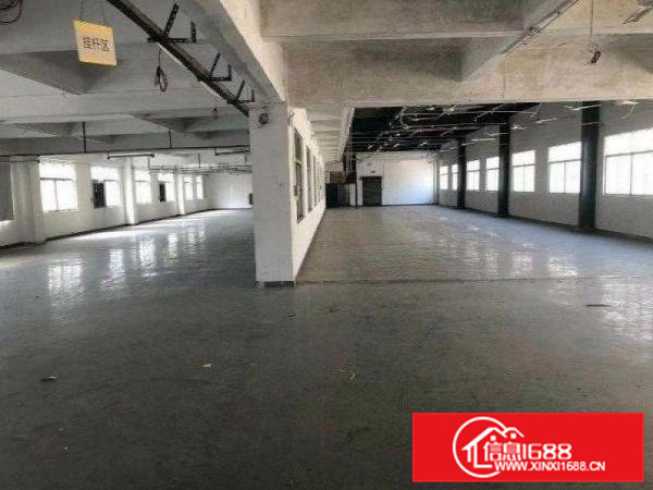 龙见田原房东独院厂房，一栋两层3600平方米出租