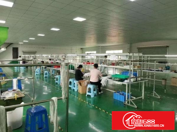 现成装修办公室，带地坪漆