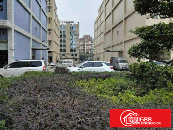 龙华大浪，整层2300平，带装修水电齐全