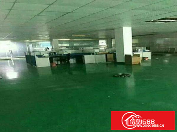 现房碧岭新出二三楼带电梯厂房整层招租，可分租