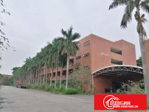 近高速，有房产证，顺德伦教20000平方简易厂房出租