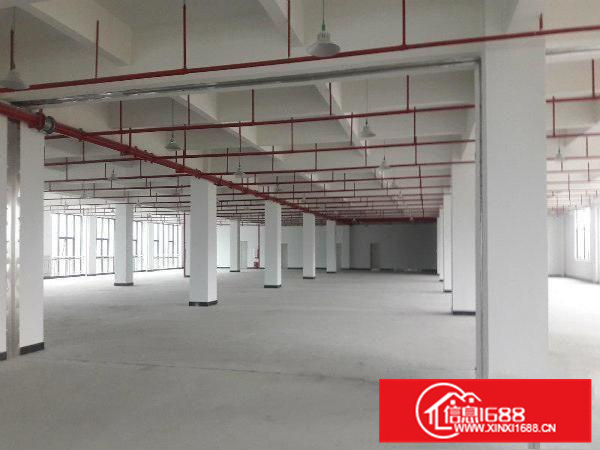 三栋数码园标准厂房11000平方豪华装修办公室大小可分租