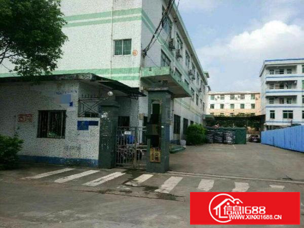 横岗西坑社区6000平标准独院房招租