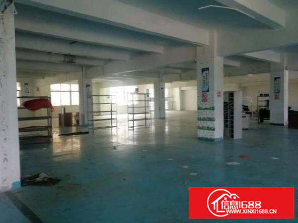 观澜便利厂房出租