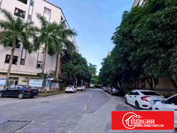 沙井步涌同富裕原房东一楼1100平高六米带牛角花园式厂房出租