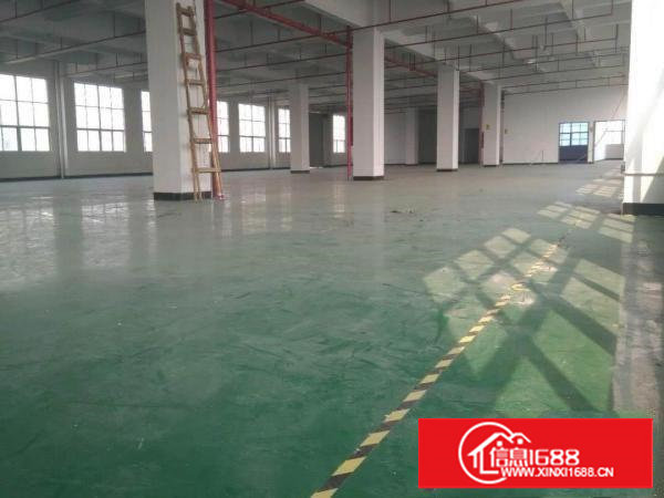 长安乌沙新出楼上楼装修870平厂房火爆招租