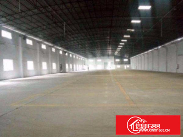 常平保安围新出单一层钢构厂房2500平出租水电齐全空地大