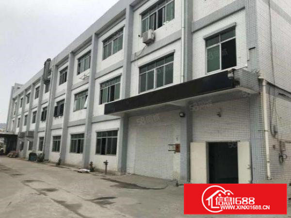 企石镇镇中心位置新出一楼1550平方,厂房现成装修