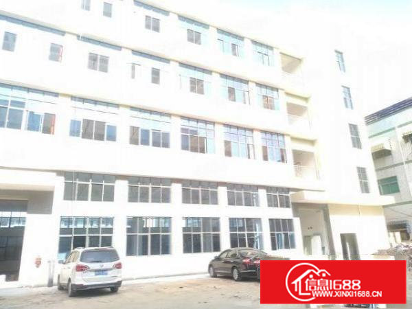 原房东全新独院厂房4000平一楼带牛角厂房出租