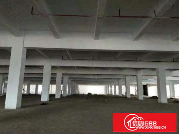 小金河源路口5900平米两层厂房13元出租