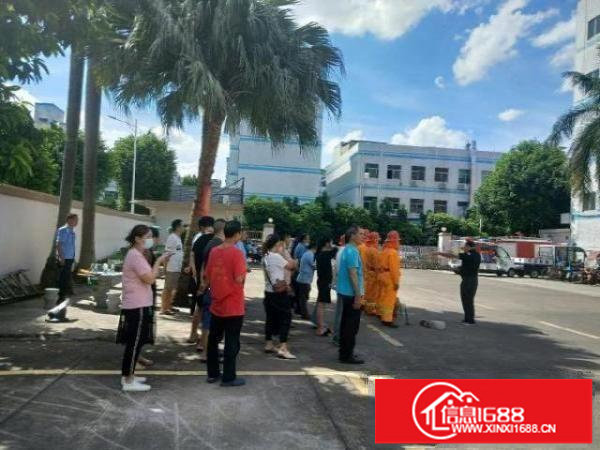 龙岗嶂背工业园厂房招租