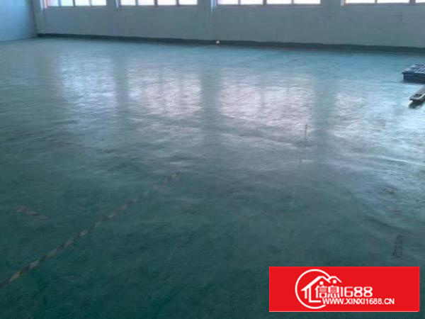 出租万江街道万江中心区450平方现成装修带水电厂房