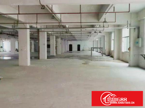 凤岗凤芝美新出2600平厂房大小可分组价格优惠