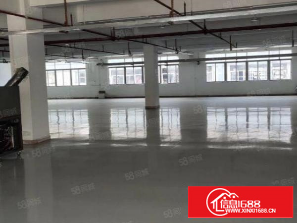 新出一楼标准厂房，价格实惠