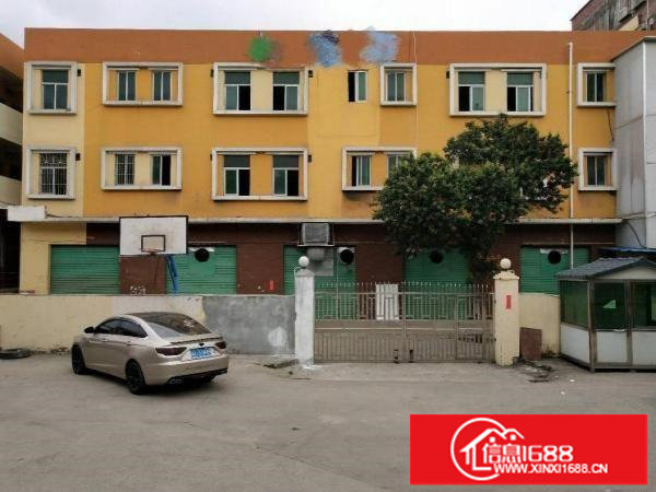 龙岗商业楼招租2800平汽车4S店、会所、公寓