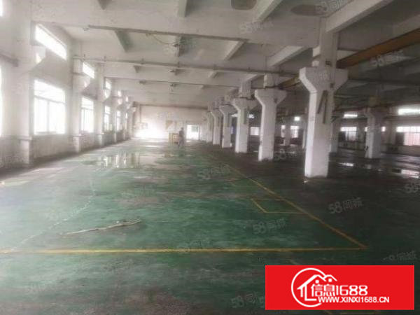 常平经典独门独院12层厂房2600平出租带牛角带办公室