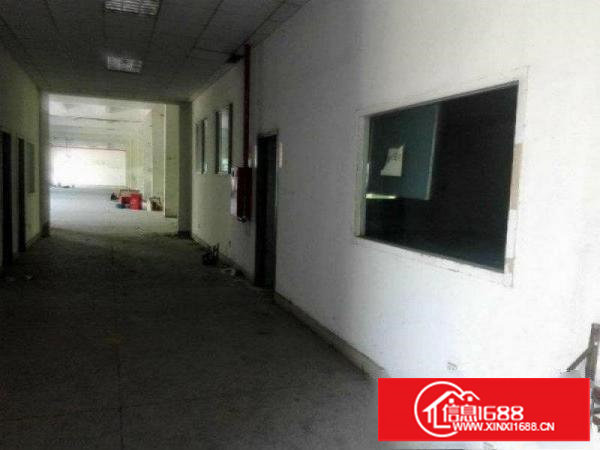 （新盘）塘厦平山标准一楼1500平方厂房出租带行车