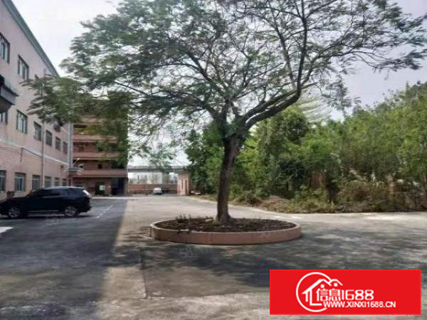 东莞常平原房东独院厂房出租10000平方工业聚集区可办环评证