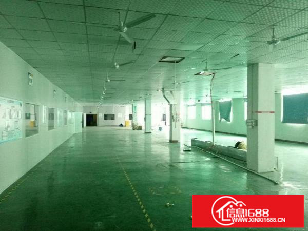 清平高速出口3楼1500平米豪华装修厂房出租