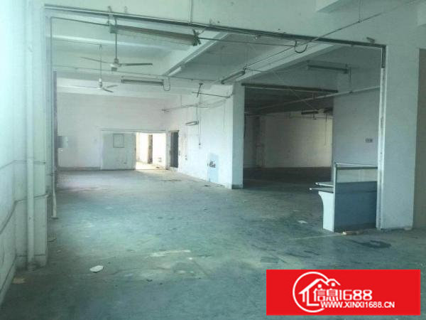 深圳龙岗新生新出楼上厂房