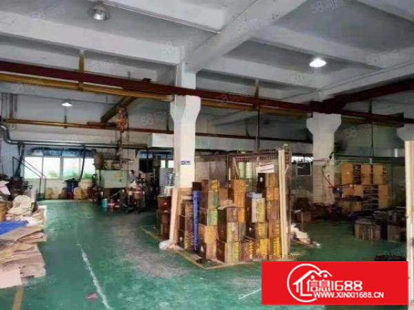 石排向西工业区标准一楼分租1000平方，有行车，水电齐全