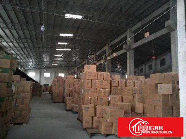 狮山19685平方厂房招租