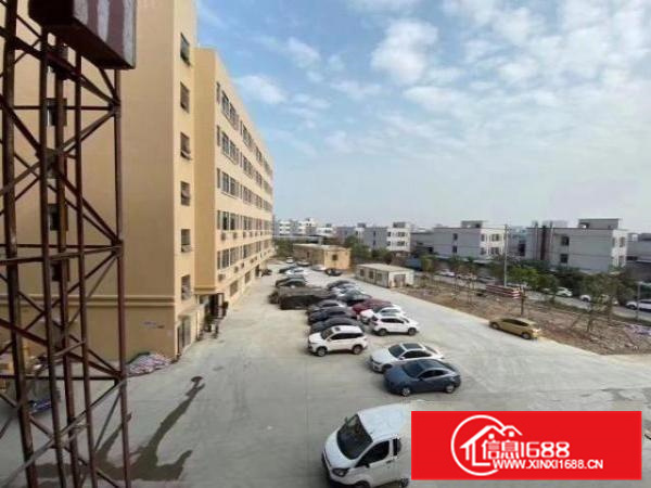 自家一手厂房，欢迎各位想开厂的朋友