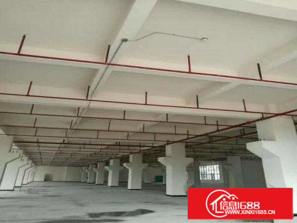 容桂800方独门独院标准厂房出租交通方便可办环评