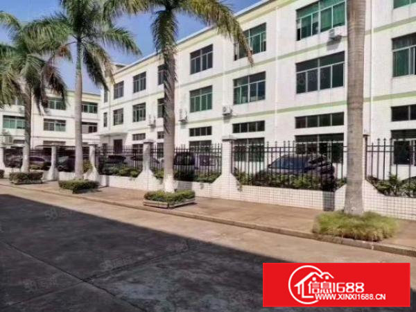 石排向西原房东标准厂，厂房形象高大上适合各行各业仅租11元