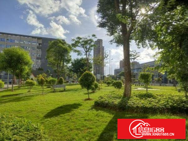 深圳市坪山区大工业原房东红本厂房单层出租面积1200平带装修