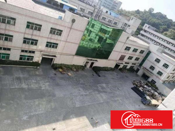 凤岗独院厂房出租12300平空地大，有红本好招工