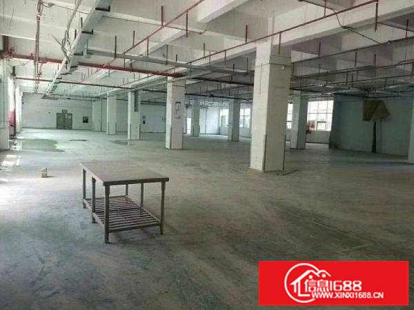 坂田厂房一楼200~2000平，适合物流电商办公等