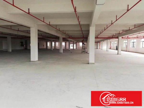 新圩高速出口独院三层厂房8500平方