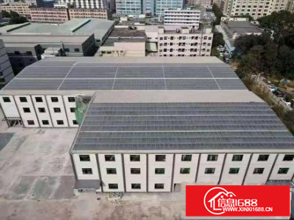 清溪新出原房东实际面积独门独院