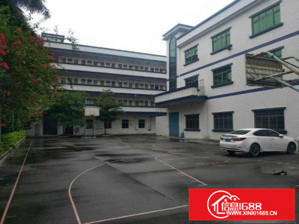 园洲镇标准独院厂房出租2100消防喷淋包办环评