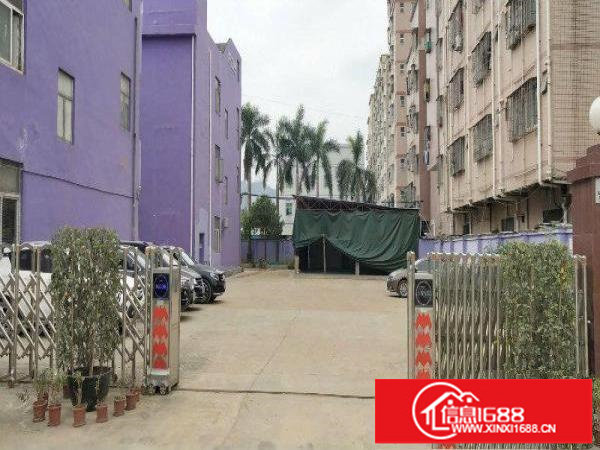 木棉湾地铁站附近大量200平到900平方厂房仓库出租可办环评