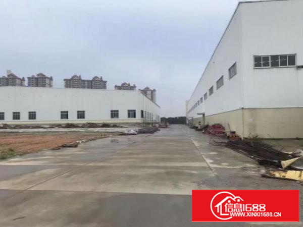 万江工业区全新单一层钢结构滴水10米1700平方厂房出租