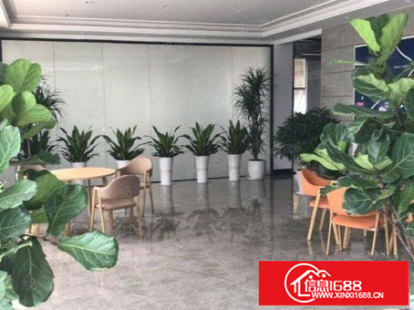 BT龙岗布吉精装修红本商业办公楼写字楼出租