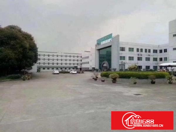 2000平高大上一楼出租